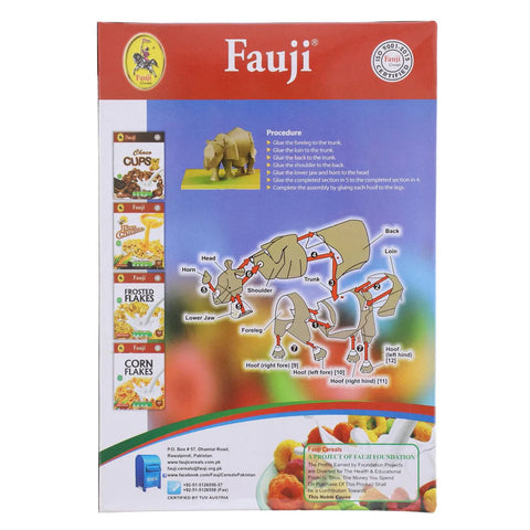 Fauji Frootooz Cereal 250g