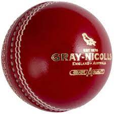 Gray Nicolls Crest Special Cricket balls  (6 pcs)