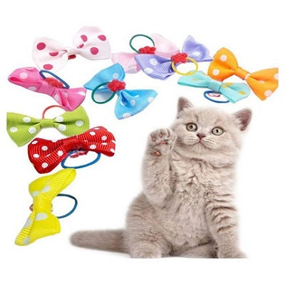 Cat Bow Collar