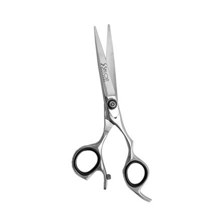 Barber Hair Cutting Scissors 6 inch Shears for Salon Stainless Steel with Fine Adjustment Screw (Bag included)