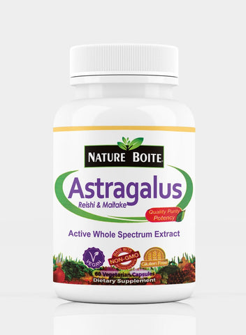 Astragalus Reishi Maitake 60 Veg Capsules