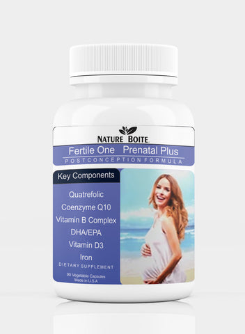 Fertile One Prenatal Plus 90 Veg Capsules