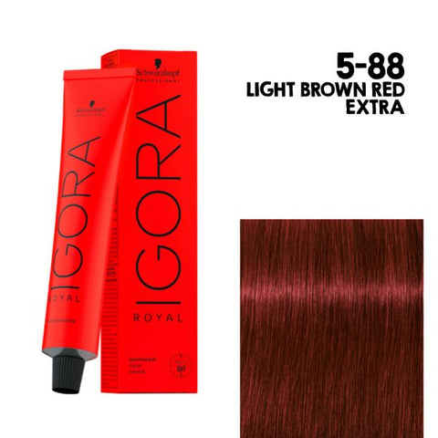 Igora Hair Color Light Brown Red Extra 5-88 60Ml