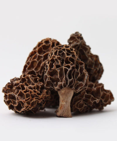 Morel Mushroom Black 20g