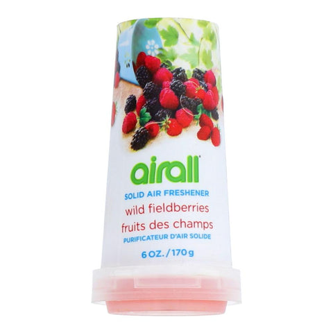 Airall Air Freshner Wild Fruits 170 Gm Basic