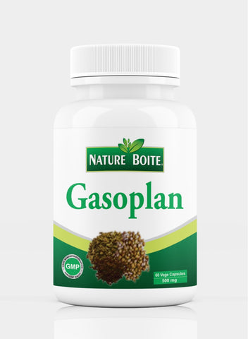 Gasoplan 500Mg 60 Veg Capsules
