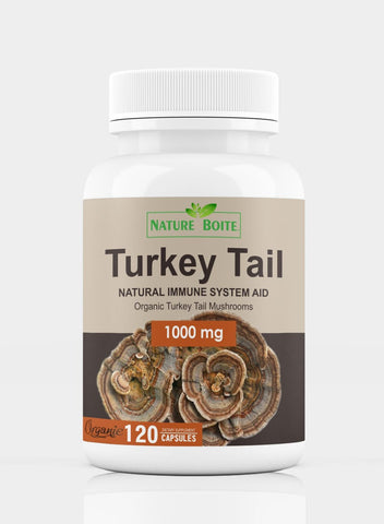 Turkey Tail Mushrooms 1000Mg 120 Capsules