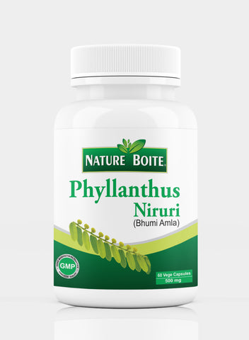 Phyllanthus Niruri Bhumi Amla 500Mg 60 Veg Capsules