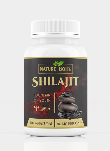 Shilajit Fountain Of Youth 800Mg 60 Capsules