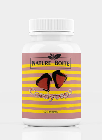 Cordyceps Vitamin 300Mg 120 Tablets