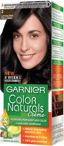 Garnier Color Luminose Black No 2