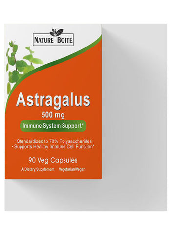 Astragalus Immune Support 500mg Capsules