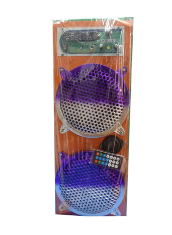 Portable Multimedia Double Speaker 8 Inch