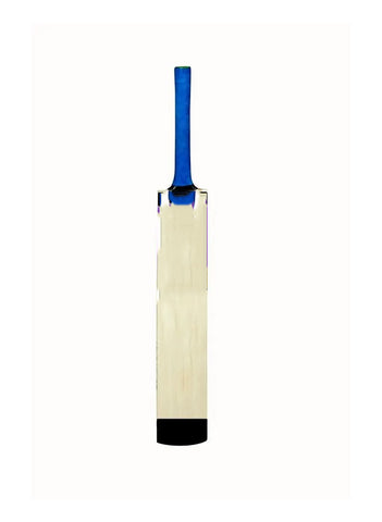 ZI Sports Kids Bat