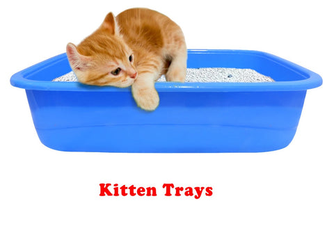Paw Comfort Kitten Litter Tray