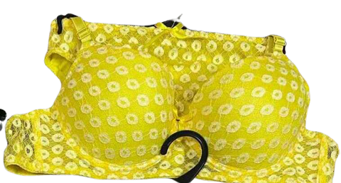 Check Print Bra underwear Set