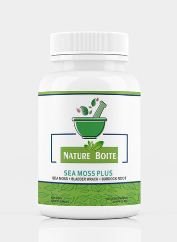 Burdock Root 100 Capsules