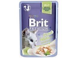 Brit Premium Cat Wet Food With Trout Fillets 85 Gm