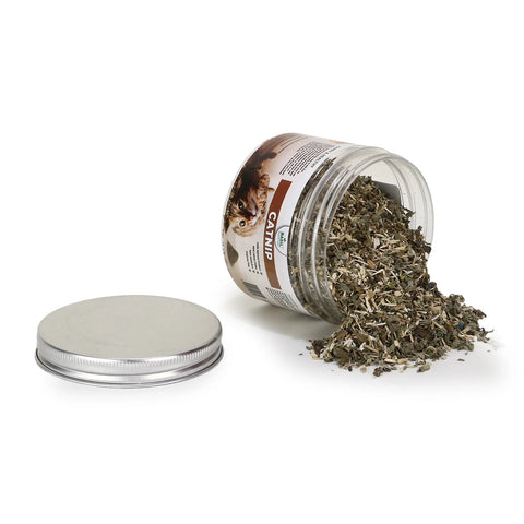 Catnip Jar 250ml