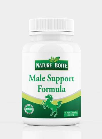 Support Wellness 500Mg 60 Veg Capsules
