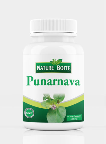 Punarnava 500Mg 60 Veg Capsules